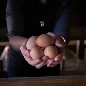 Meet your Posher, Janet